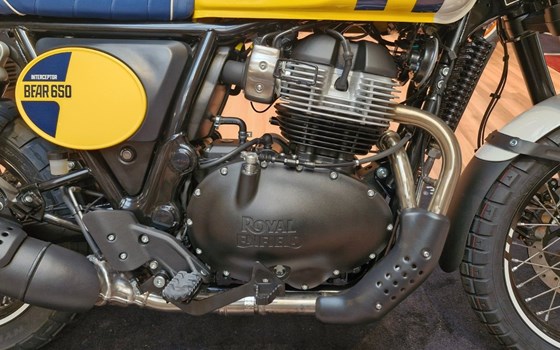 Neufahrzeug Royal Enfield Bear 650 - Bild 5