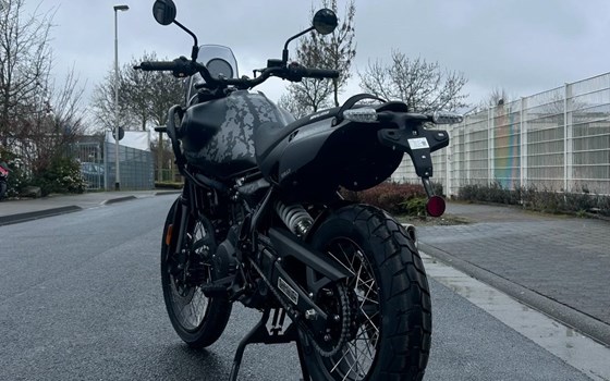 Neufahrzeug Royal Enfield Himalayan 450 - Bild 3