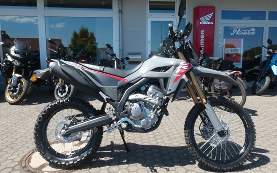 Gebrauchtmotorrad Honda CRF300L - Bild 1
