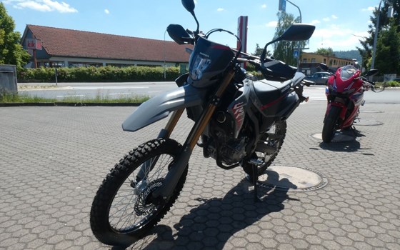 Gebrauchtmotorrad Honda CRF300L - Bild 5