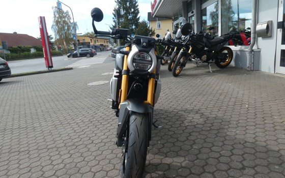 Neufahrzeug Suzuki GSX-8T - Bild 3