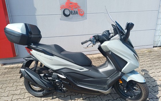 Gebrauchtmotorrad Honda Forza 350 - Bild 1