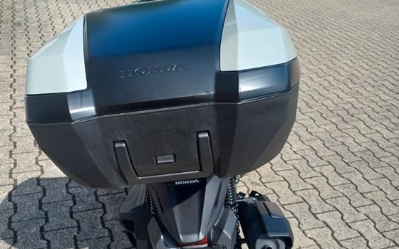 Gebrauchtmotorrad Honda Forza 350 - Bild 4