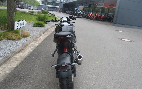 Gebrauchtmotorrad Triumph Trident 800 - Bild 8