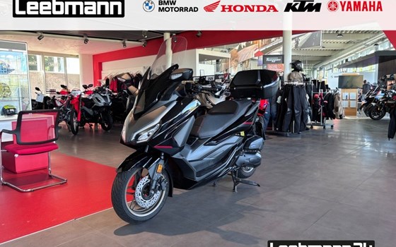 Gebrauchtmotorrad Honda Forza 125 Special Edition - Bild 1