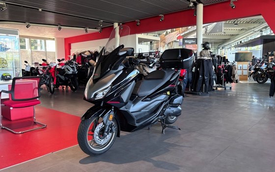Gebrauchtmotorrad Honda Forza 125 Special Edition - Bild 2