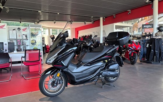 Gebrauchtmotorrad Honda Forza 125 Special Edition - Bild 3
