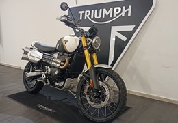 Gebrauchte Triumph Scrambler 1200 XE