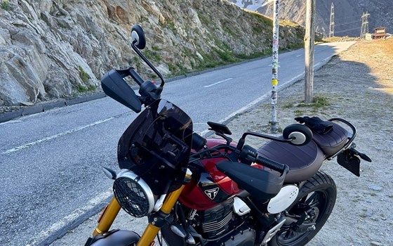 Gebrauchtmotorrad Triumph Scrambler 400 X - Bild 4