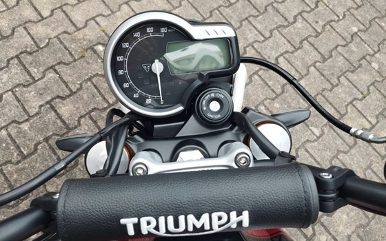 Gebrauchtmotorrad Triumph Scrambler 400 X - Bild 5
