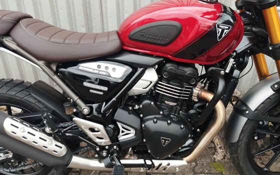 Gebrauchtmotorrad Triumph Scrambler 400 X - Bild 3