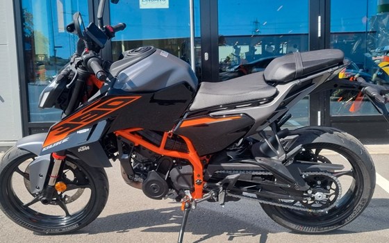 Neufahrzeug KTM 390 Duke - Bild 3