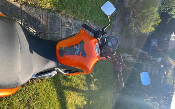 Gebrauchtmotorrad Kawasaki ER-6n - Bild 4