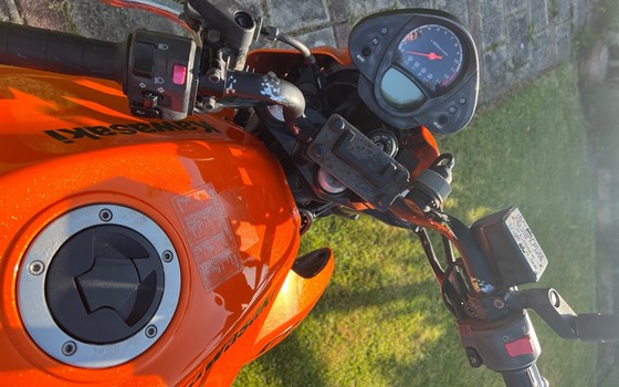 Gebrauchtmotorrad Kawasaki ER-6n - Bild 5