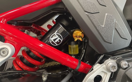 Neufahrzeug BMW F 900 GS - Bild 12