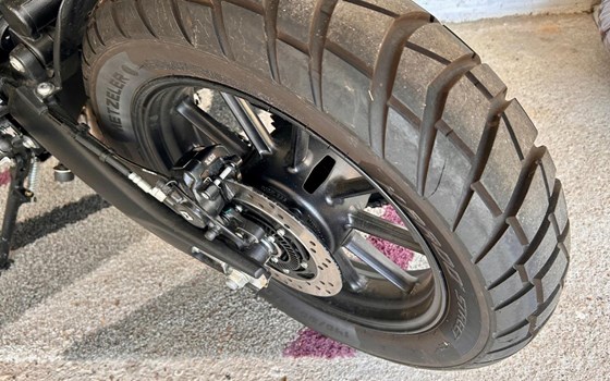 Gebrauchtmotorrad Triumph Scrambler 400 X - Bild 5