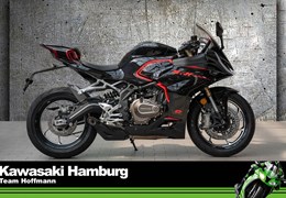 Neumotorrad QJ Motor SRK 421 RR