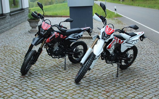 Neufahrzeug QJ Motor COV 125X - Bild 2