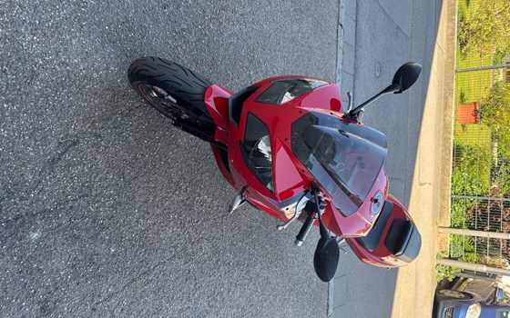 Gebrauchtmotorrad Triumph Daytona 600 - Bild 6