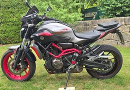 Gebrauchte Yamaha MT-07 Moto Cage