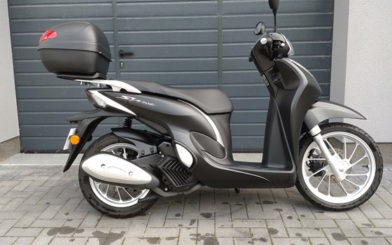 Gebrauchtmotorrad Honda SH Mode 125 - Bild 6