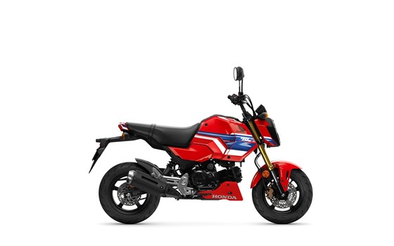 Gebrauchtmotorrad Honda MSX125 Grom - Bild 1