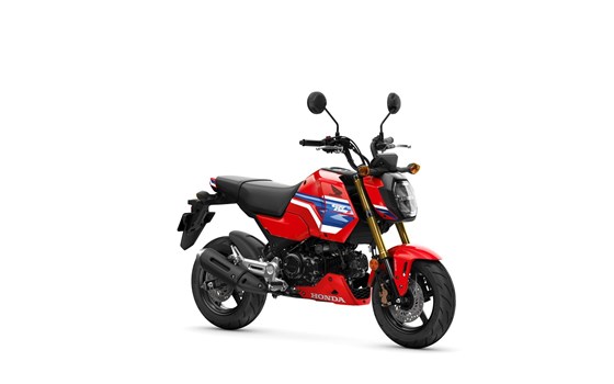 Gebrauchtmotorrad Honda MSX125 Grom - Bild 2