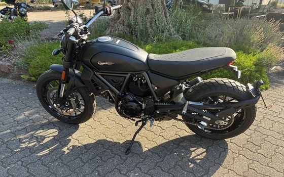 Gebrauchtmotorrad Ducati Scrambler Icon Dark - Bild 2