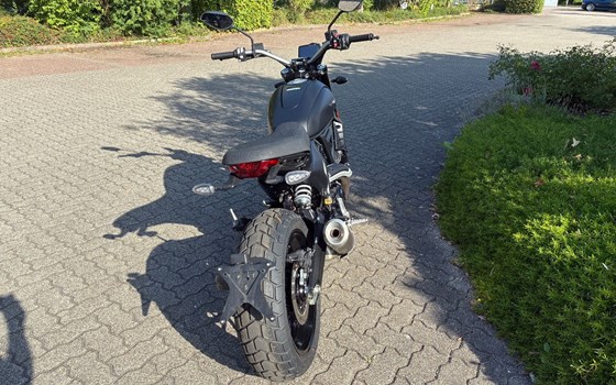 Gebrauchtmotorrad Ducati Scrambler Icon Dark - Bild 4