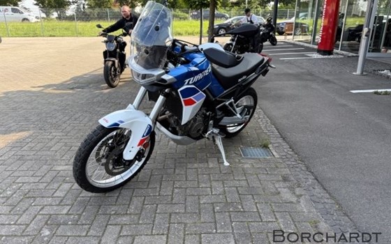 Gebrauchtmotorrad Aprilia Tuareg 660 - Bild 9