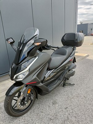 Honda Forza 350 (MATT CYNOS GREY METALLIC) - Bild 3