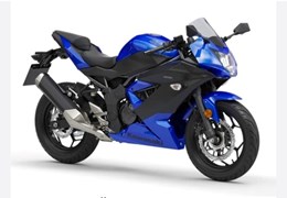 Gebrauchte Kawasaki Ninja 125