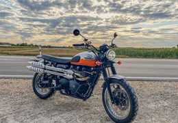 Gebrauchte Triumph Scrambler