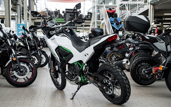 Neufahrzeug Kawasaki KLE500 SE - Bild 5