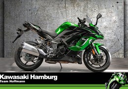 Neumotorrad Kawasaki Ninja 1100SX SE