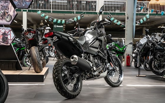 Neufahrzeug Kawasaki KLE 500 - Bild 6