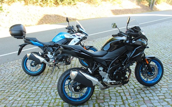 Neufahrzeug Suzuki SV-7GX - Bild 2