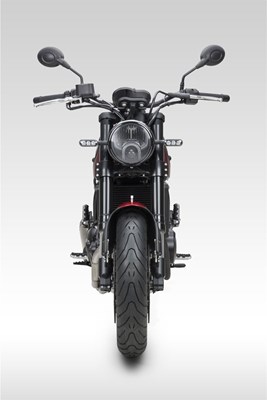 Benelli Leoncino 500 (rot) - Bild 9