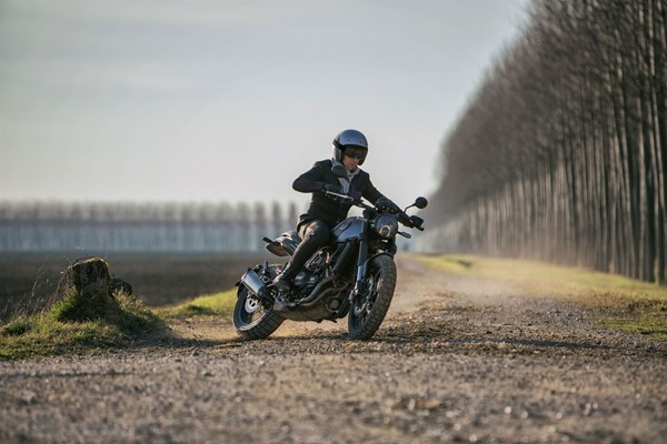 Benelli Leoncino 500 (rot) - Bild 10