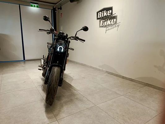 Benelli Leoncino 500 (rot) - Bild 2