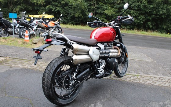 Gebrauchtmotorrad Triumph Scrambler 1200 X - Bild 4