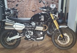 Gebrauchte Triumph Scrambler 1200 XE