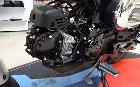 Gebrauchtmotorrad Honda Dax - Bild 10