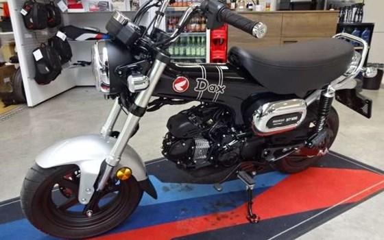 Gebrauchtmotorrad Honda Dax - Bild 2