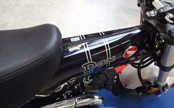 Gebrauchtmotorrad Honda Dax - Bild 7