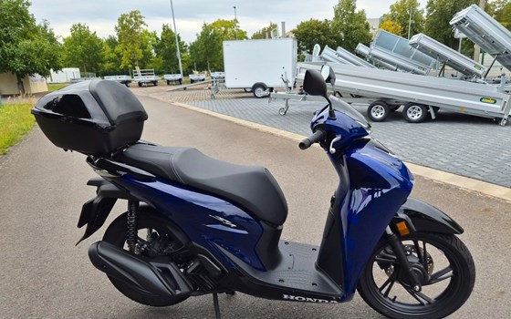 Gebrauchtmotorrad Honda SH125 - Bild 3