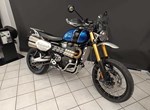 Angebot Triumph Scrambler 1200 XE