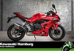 Neumotorrad QJ Motor SRK 800 RR