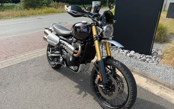 Gebrauchtmotorrad Triumph Scrambler 1200 XE - Bild 2