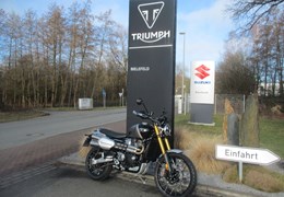 Gebrauchte Triumph Scrambler 1200 XE